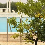 Elia Pool Party & Relax By Bookvillaeu * 基拉奇尼