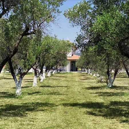 Villa Elia Bookvillaeu Gerakini